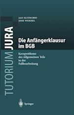 Die Anfängerklausur im BGB