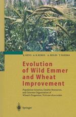 Evolution of Wild Emmer and Wheat Improvement