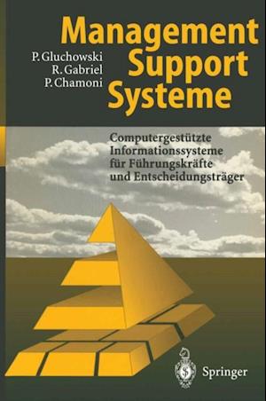 Management Support Systeme