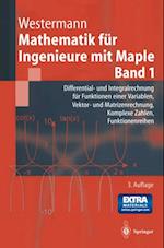 Mathematik für Ingenieure mit Maple