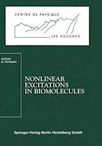 Nonlinear Excitations in Biomolecules