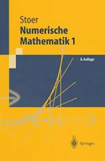 Numerische Mathematik 1