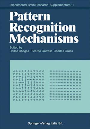 Pattern Recognition Mechanisms