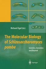 Molecular Biology of Schizosaccharomyces pombe