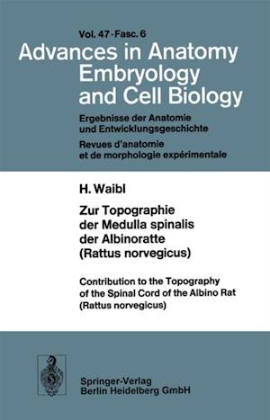 Zur Topographie der Medulla spinalis der Albinoratte (rattus norvegicus) / Contributions to the Topography of the Spinal Cord of the Albino Rat (Rattus norvegicus)