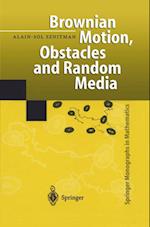 Brownian Motion, Obstacles and Random Media