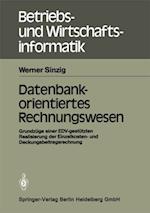 Datenbankorientiertes Rechnungswesen