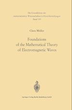 Foundations of the Mathematical Theory of Electromagnetic Waves