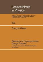 Geometry of Supersymmetric Gauge Theories