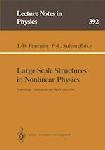 Large Scale Structures in Nonlinear Physics