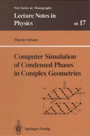 Computer Simulation of Condensed Phases in Complex Geometries