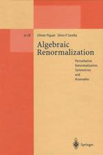 Algebraic Renormalization : Perturbative Renormalization, Symmetries and Anomalies 