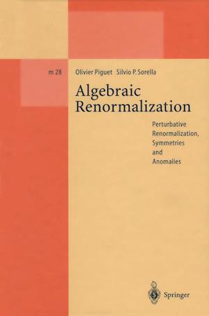 Algebraic Renormalization