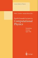 Fourth Granada Lectures in Computational Physics