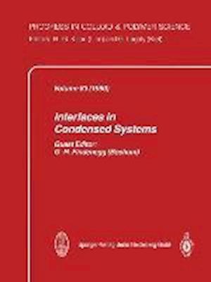 Interfaces in Condensed Systems