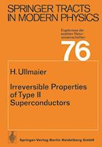 Irreversible Properties of Type II Superconductors