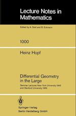 Differential Geometry in the Large