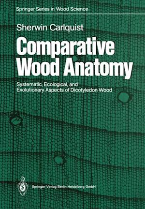 Comparative Wood Anatomy