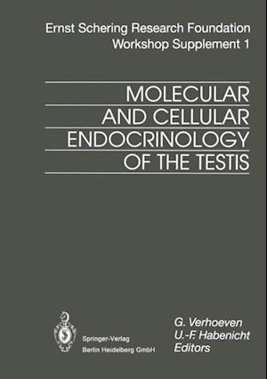 Molecular and Cellular Endocrinology of the Testis