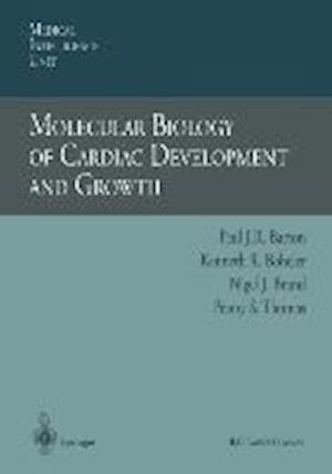 Molecular Biology of Cardiac Development and Growth