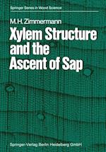 Xylem Structure and the Ascent of Sap