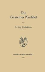 Die Gasteiner Kurfibel