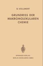 Grundriss der Makromolekularen Chemie