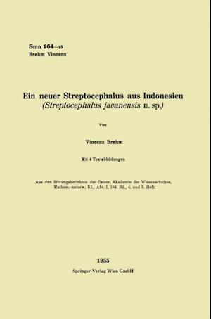 Ein neuer Streptocephalus aus Indonesien