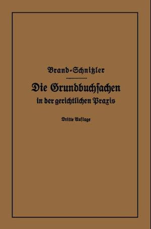 Die Grundbuchsachen in der gerichtlichen Praxis