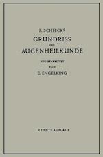 Grundriss der Augenheilkunde für Studierende