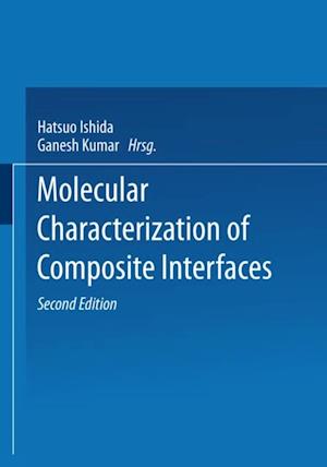 Molecular Characterization of Composite Interfaces