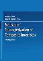 Molecular Characterization of Composite Interfaces