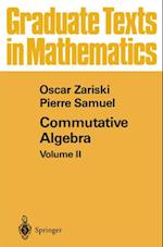 Commutative Algebra