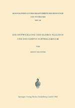 Die Entwicklung des Globus Pallidus und des Corpus Subthalamicum