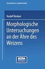 Morphologische Untersuchungen an der Ähre des Weizens