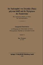 Die Nackengabel von Zerynthia (Thais) polyxena Schiff. und die Phylogenese des Osmateriums
