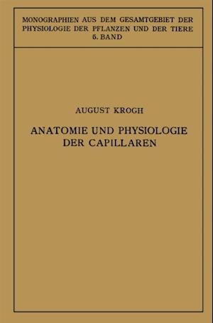 Anatomie und Physiologie der Capillaren