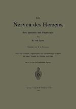 Die Nerven des Herzens