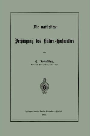 Die natürliche Verjüngung des Buchen-Hochwaldes