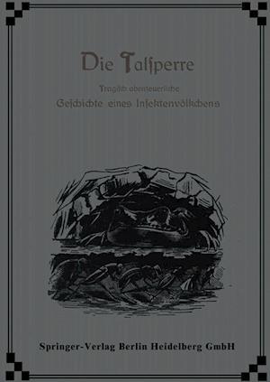 Die Talsperre