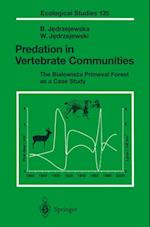 Predation in Vertebrate Communities