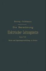 Die Berechnung Elektrischer Leitungsnetze in Theorie Und Praxis