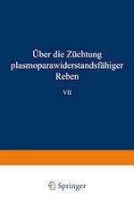 Über die Züchtung plasmoparawiderstandsfähiger Reben