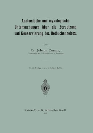 Anatomische und mykologische Untersuchungen über die Zersetzung und Konservierung des Rotbuchenholzes