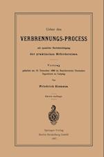 Ueber den Verbrennungs-Process mit spezieller Berücksichtigung der praktischen Erfordernisse