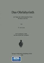 Das Ohrlabyrinth