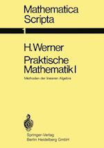 Praktische Mathematik I