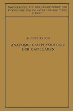 Anatomie Und Physiologie Der Capillaren