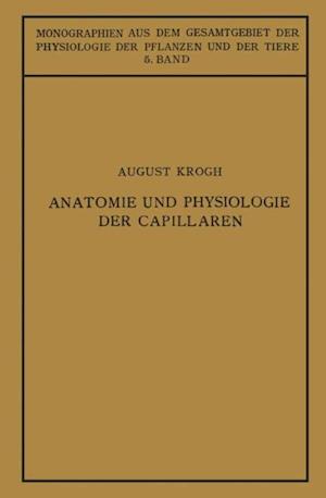 Anatomie und Physiologie der Capillaren