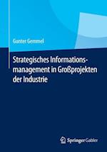 Strategisches Informationsmanagement in Großprojekten Der Industrie